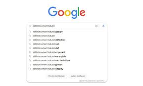 seo référencement