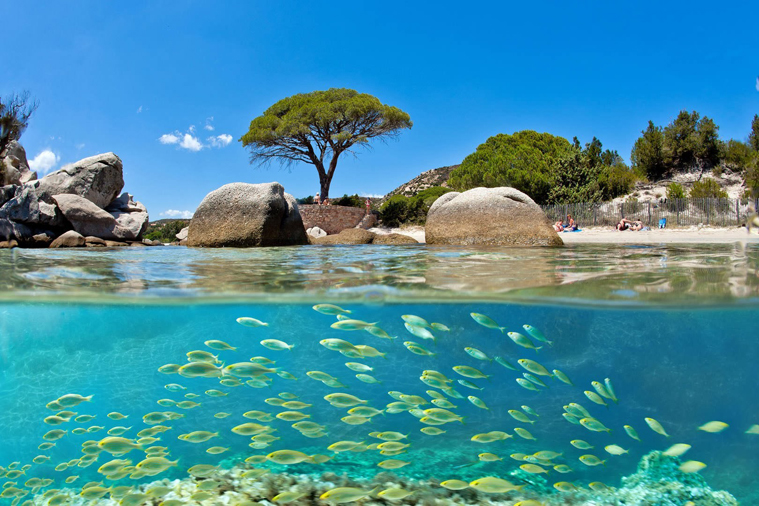 corse voyage